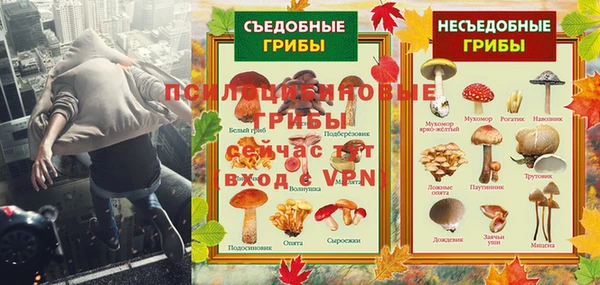а пвп мука Алзамай