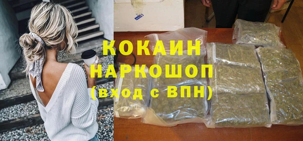 соль ск Алексин