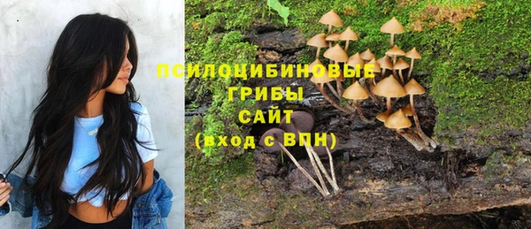 соль ск Алексин