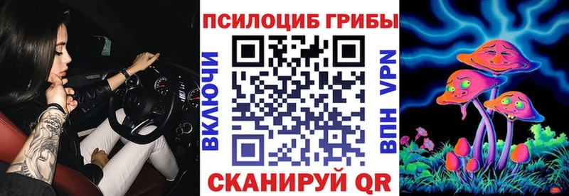 Псилоцибиновые грибы ЛСД Новошахтинск