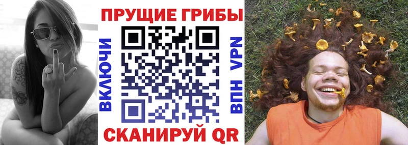 hydra   Новошахтинск  Галлюциногенные грибы MAGIC MUSHROOMS 